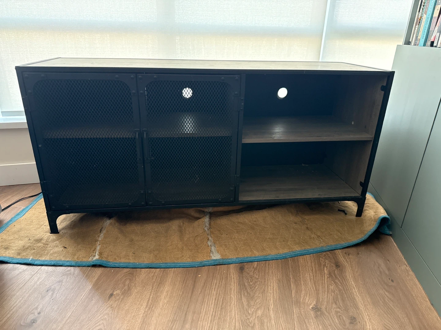 Industrial Style Media Console with Mesh Doors