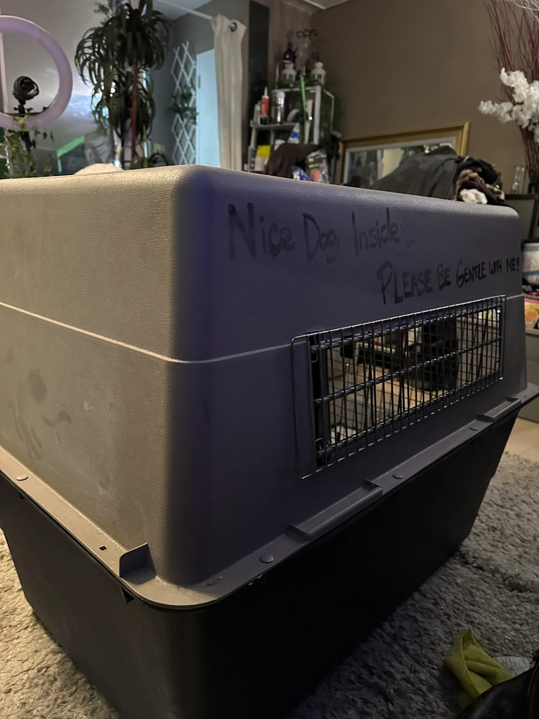Large Dog Crate Carrier - photo 3