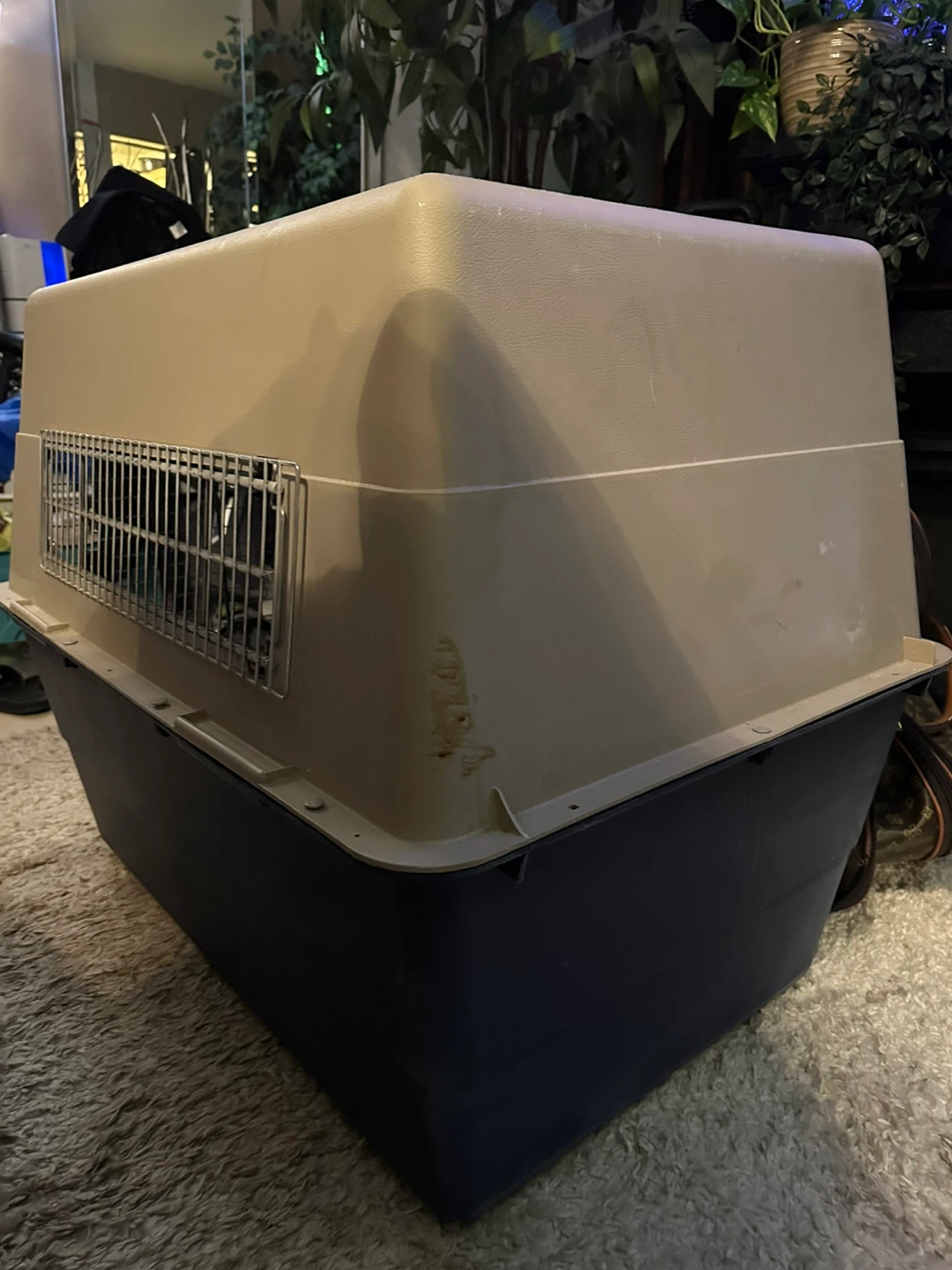 Large Dog Crate Carrier - photo 2