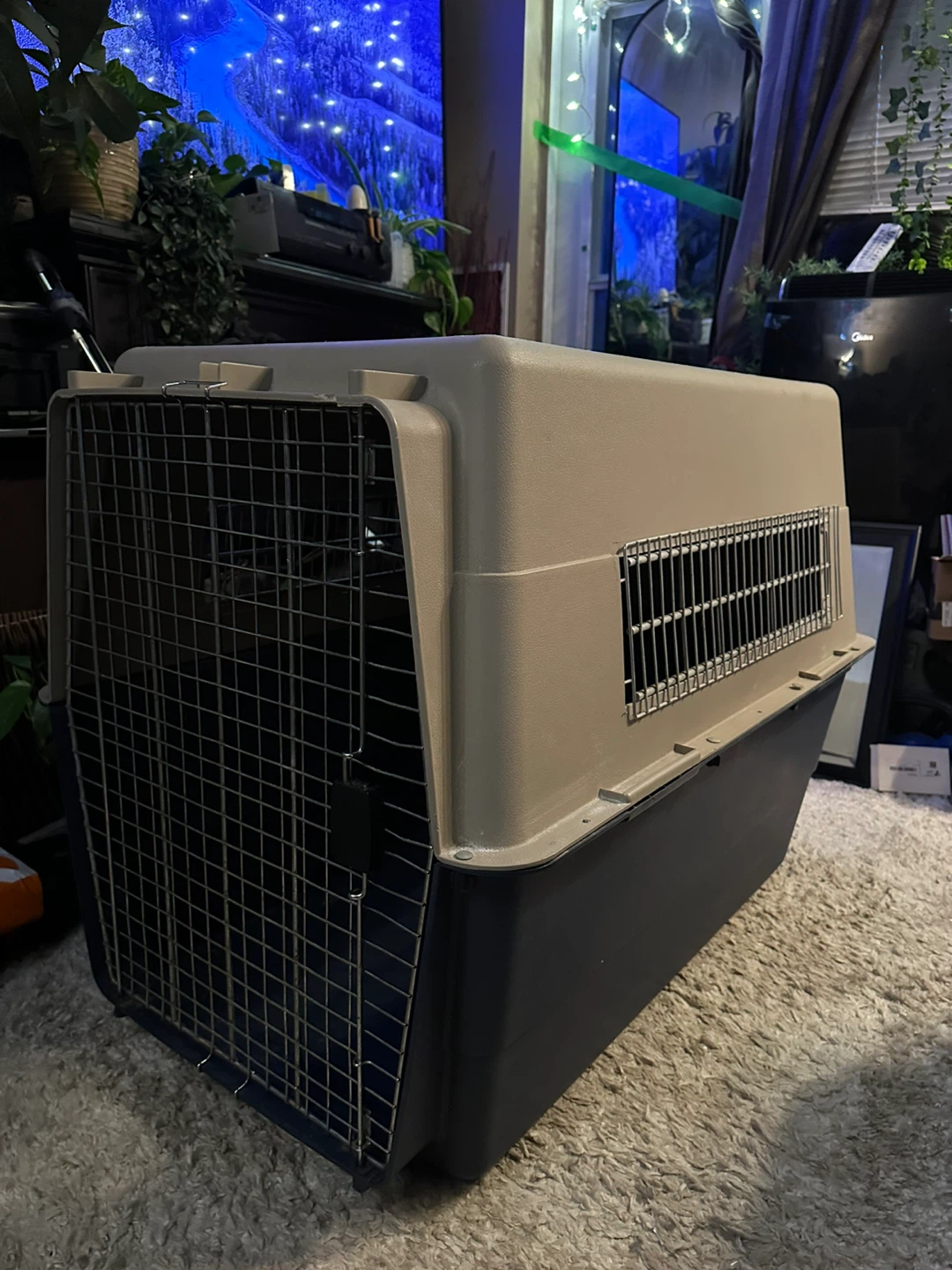 Large Dog Crate Carrier