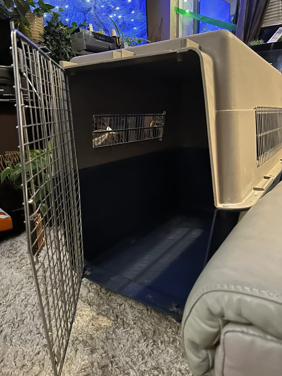 Large Dog Crate Carrier - photo 4