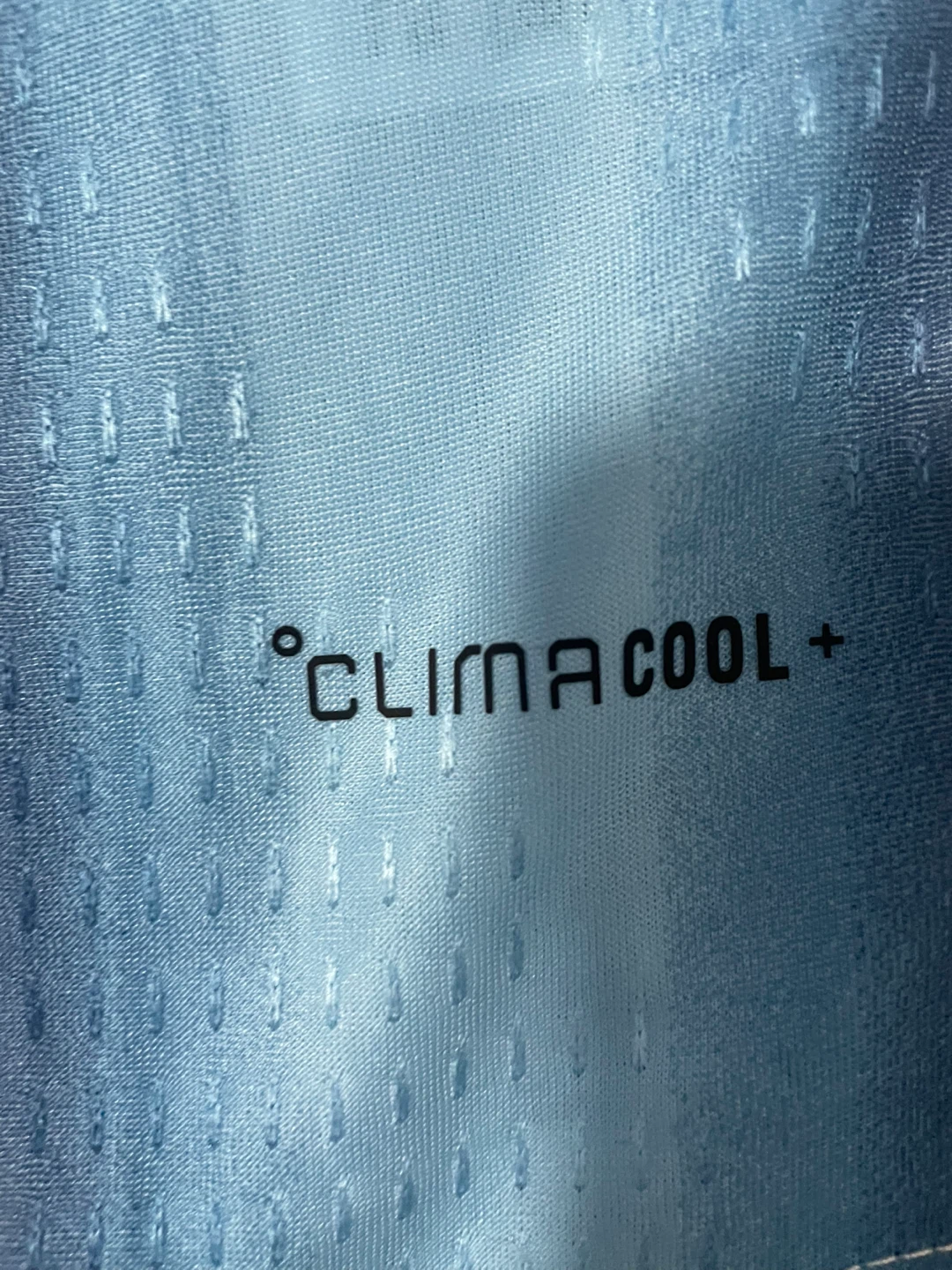 Adidas Messi 10 Argentina Jersey - photo 5