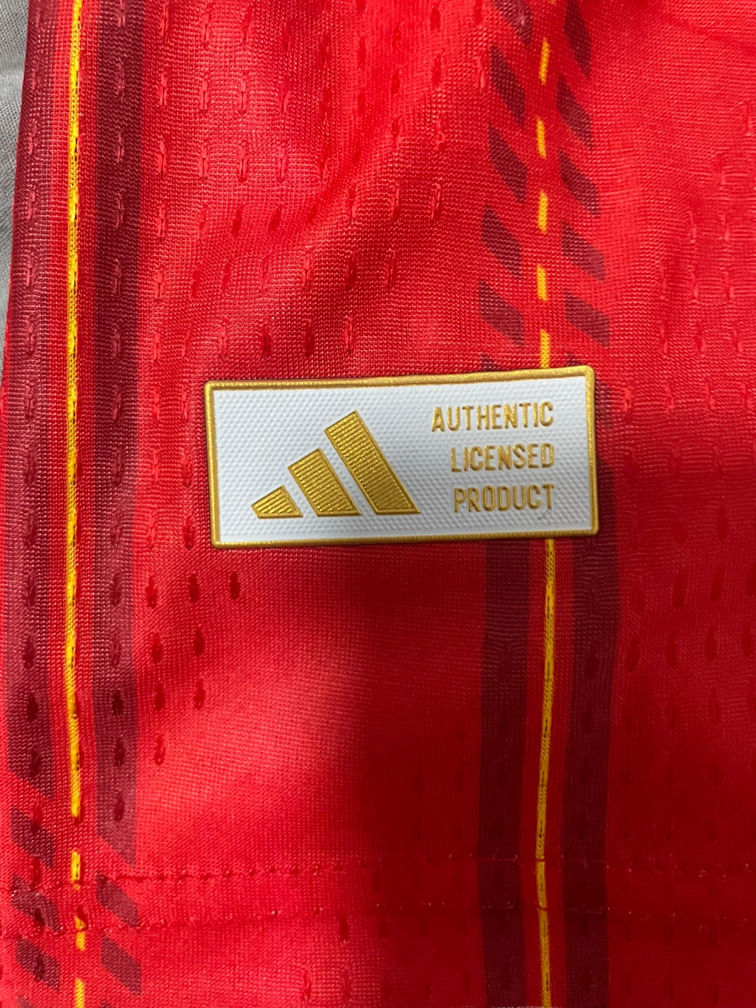 Adidas Spain 10 Lamine Yamal Football Jersey - photo 4