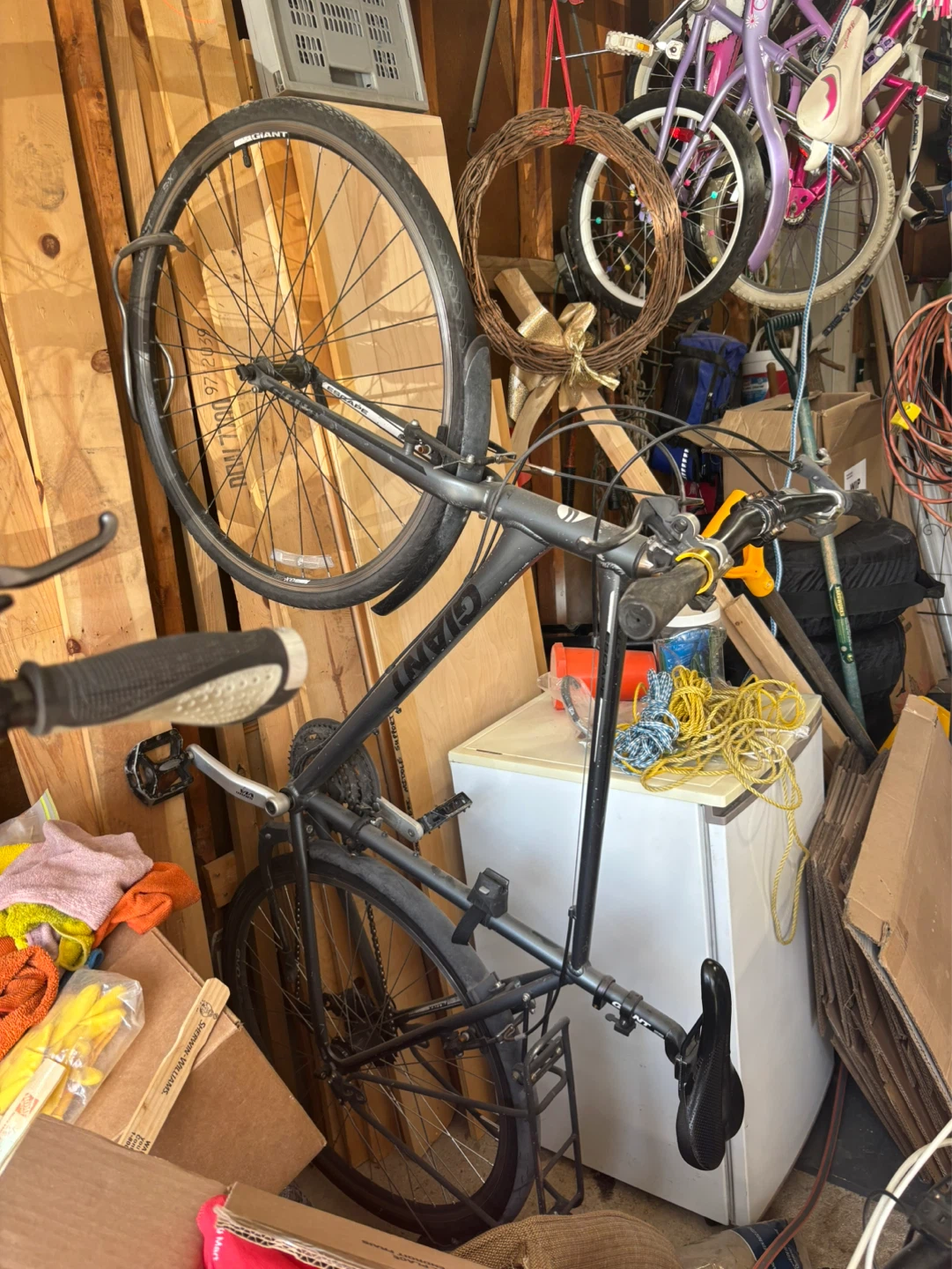 Giant Escape Hybrid Bike