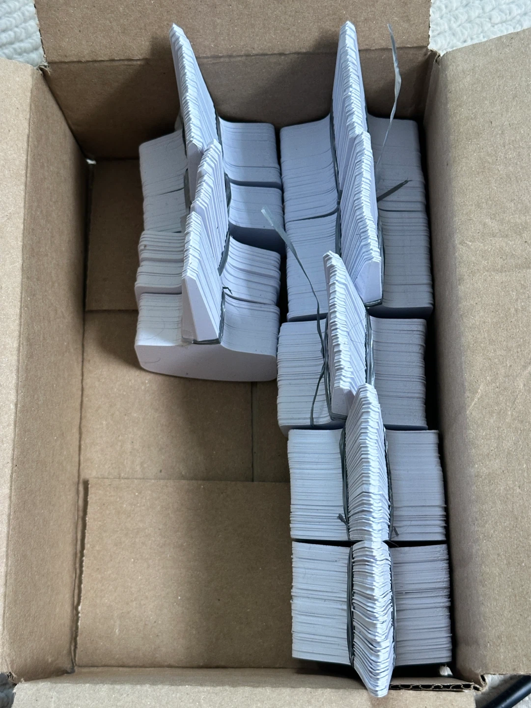 🆕 T-shaped Plant Labels x700