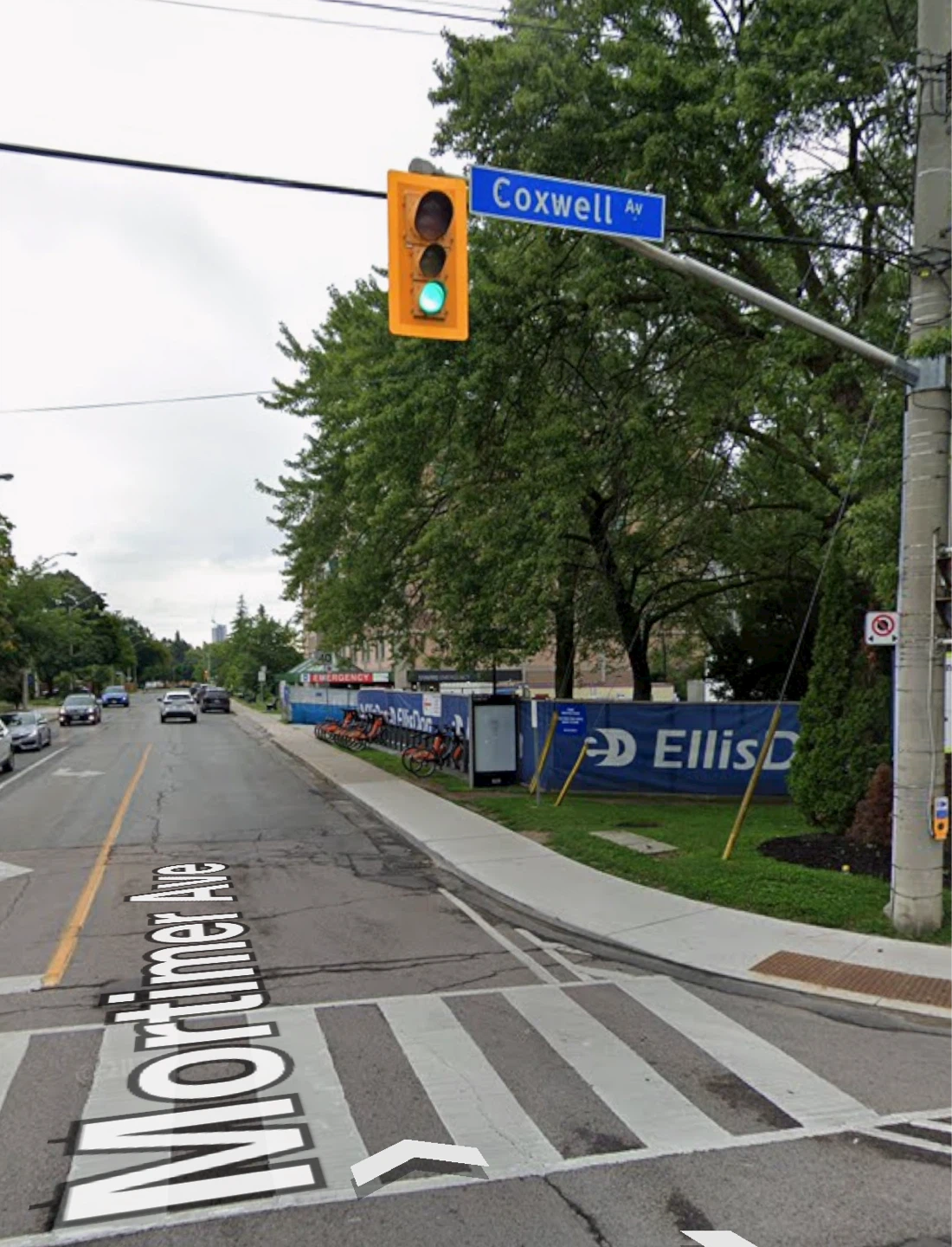 Charming Lower-Level Suite – Toronto East End