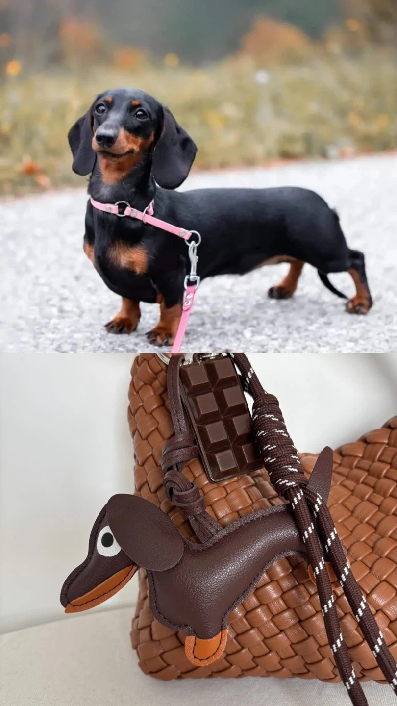 Dachshund Dog & Chocolate Bar Bag Charm Keychain Set - photo 3