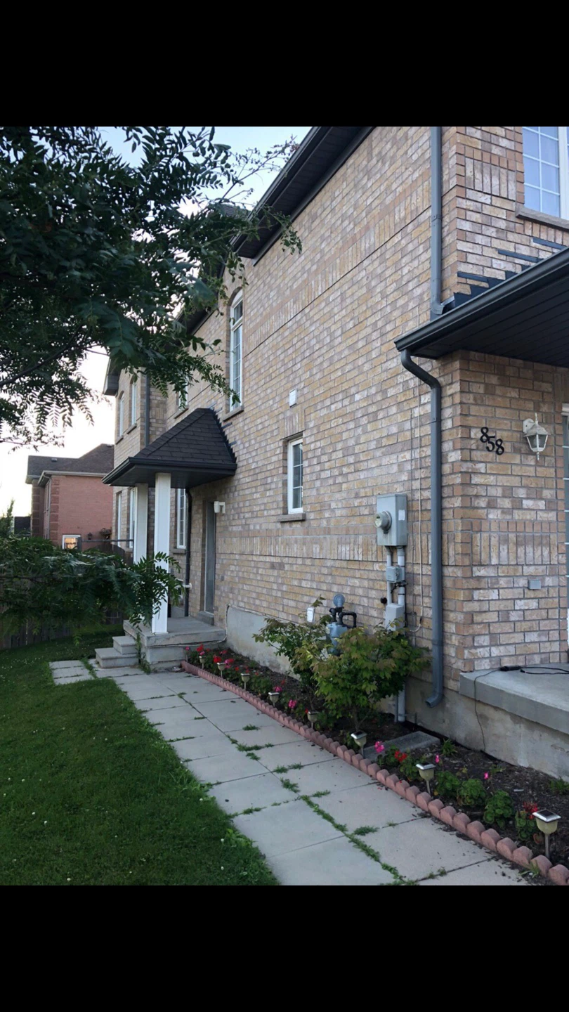 Rental basement in Newmarket