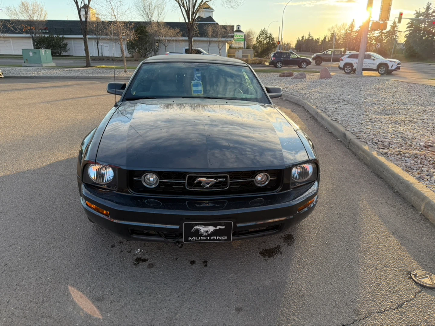 2008 Ford Mustang Convertible