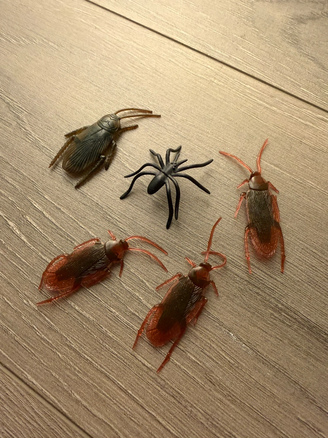 Realistic Toy Bugs - 3 Cockroaches & 1 Spider