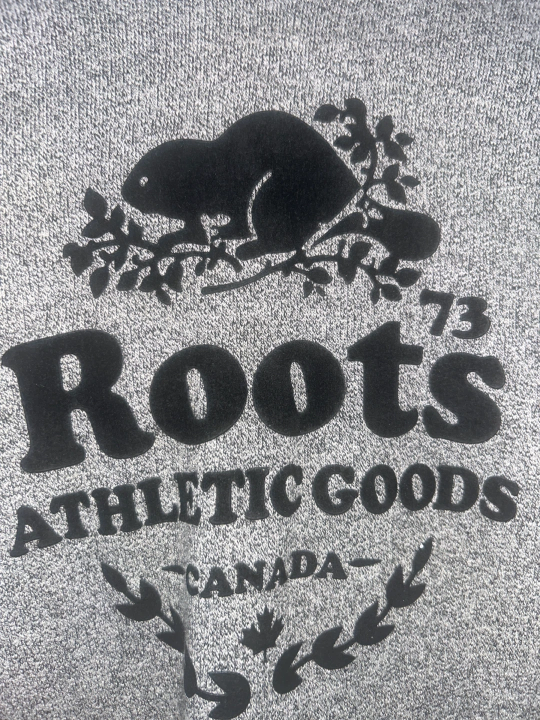 Roots Athletic Goods Hoodie - photo 2