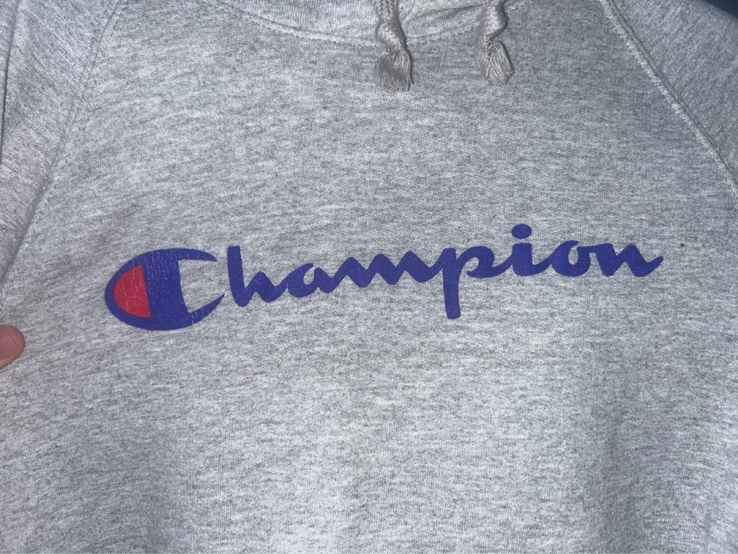 Champion Hoodie - Grey - photo 2