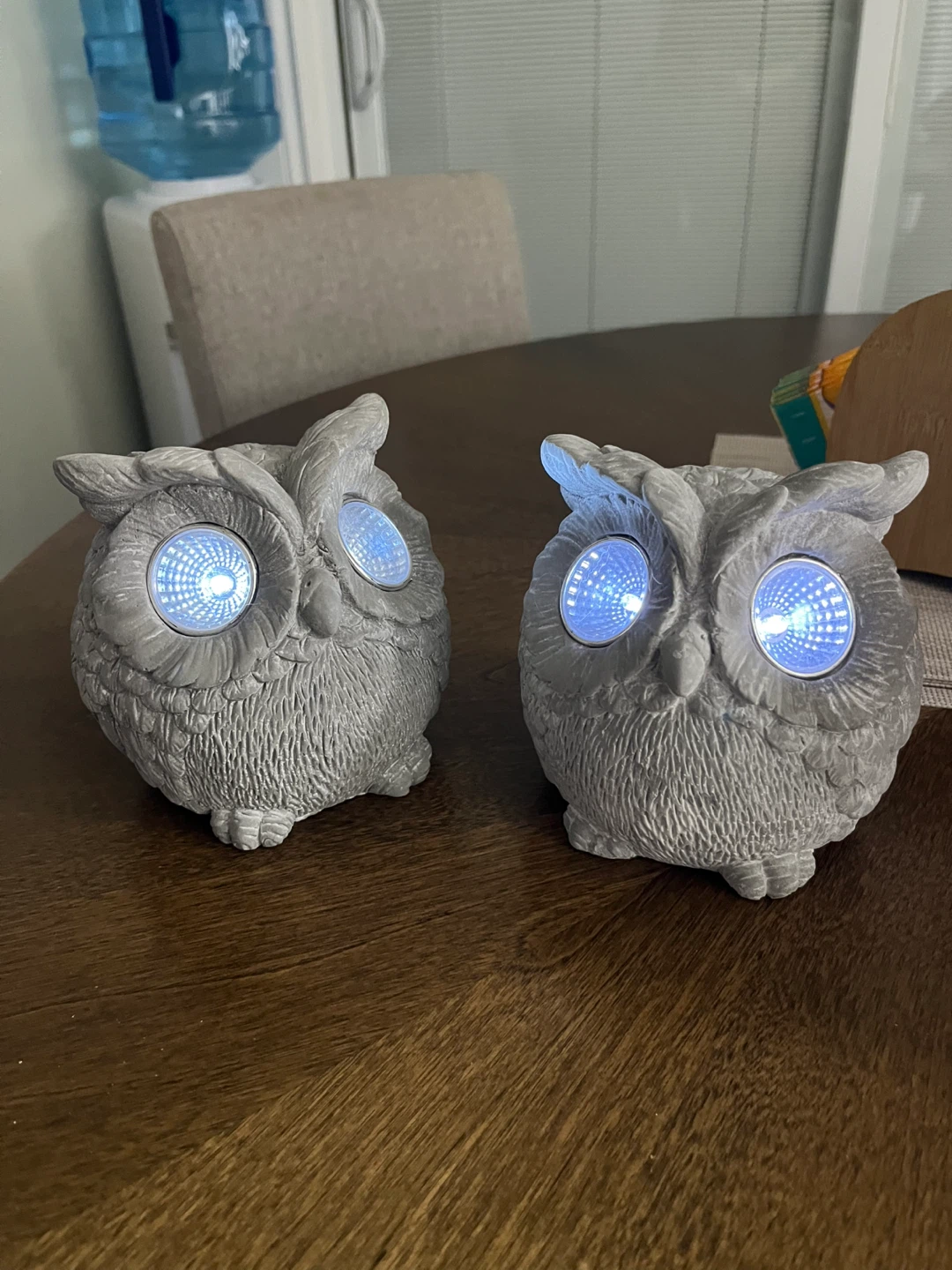Pair of Owl Solar Lights