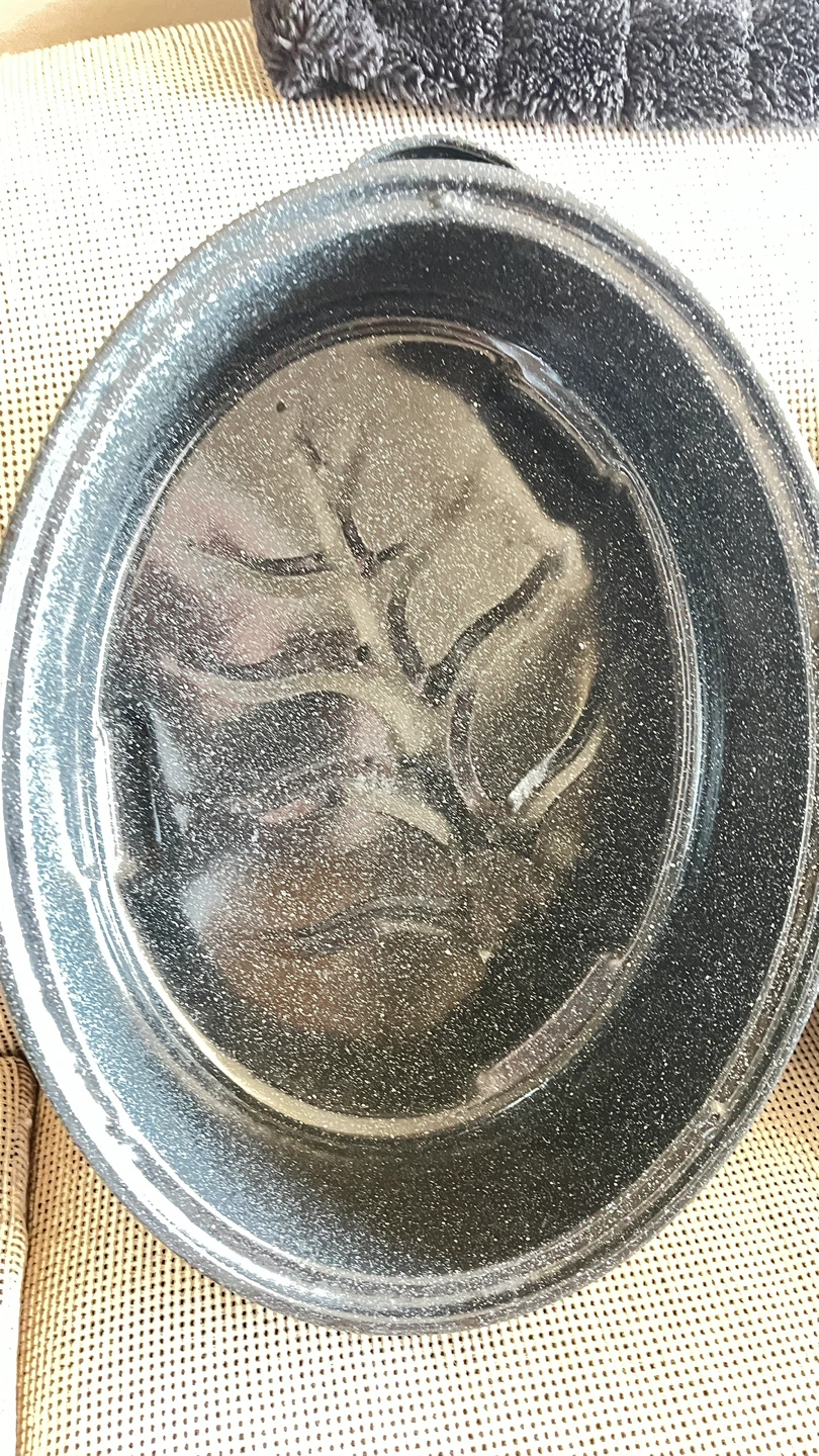 Oval Roasting Pan - photo 2