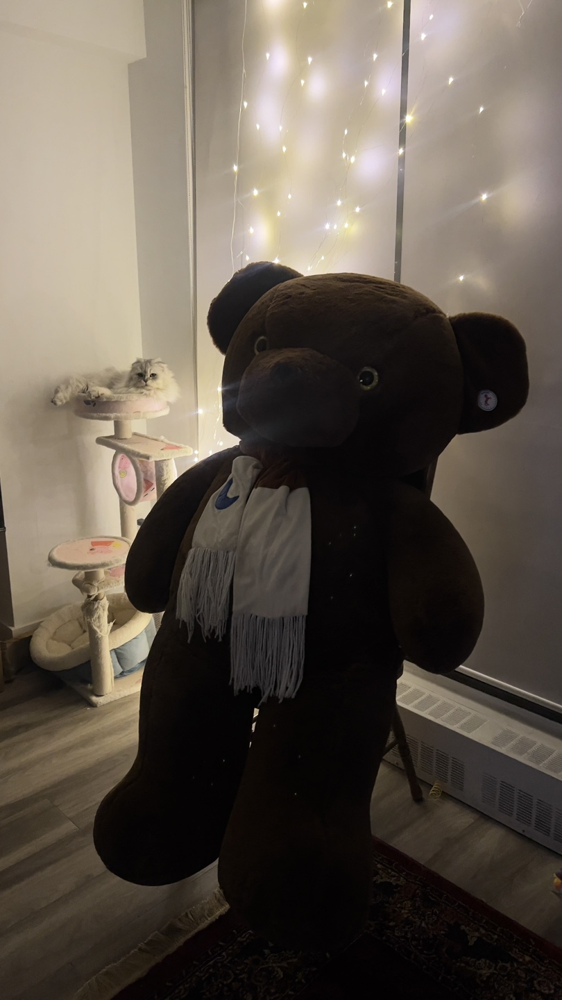 Caravan Softoys "Milan" Giant Teddy Bear - photo 2