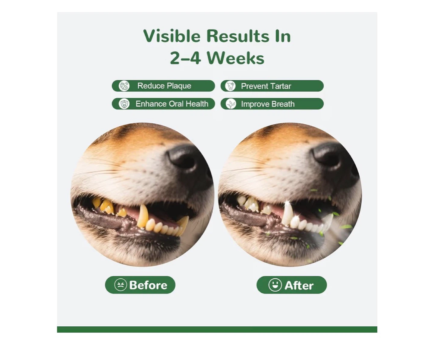 Vetnix Dental Powder for Fresh Breath - photo 4