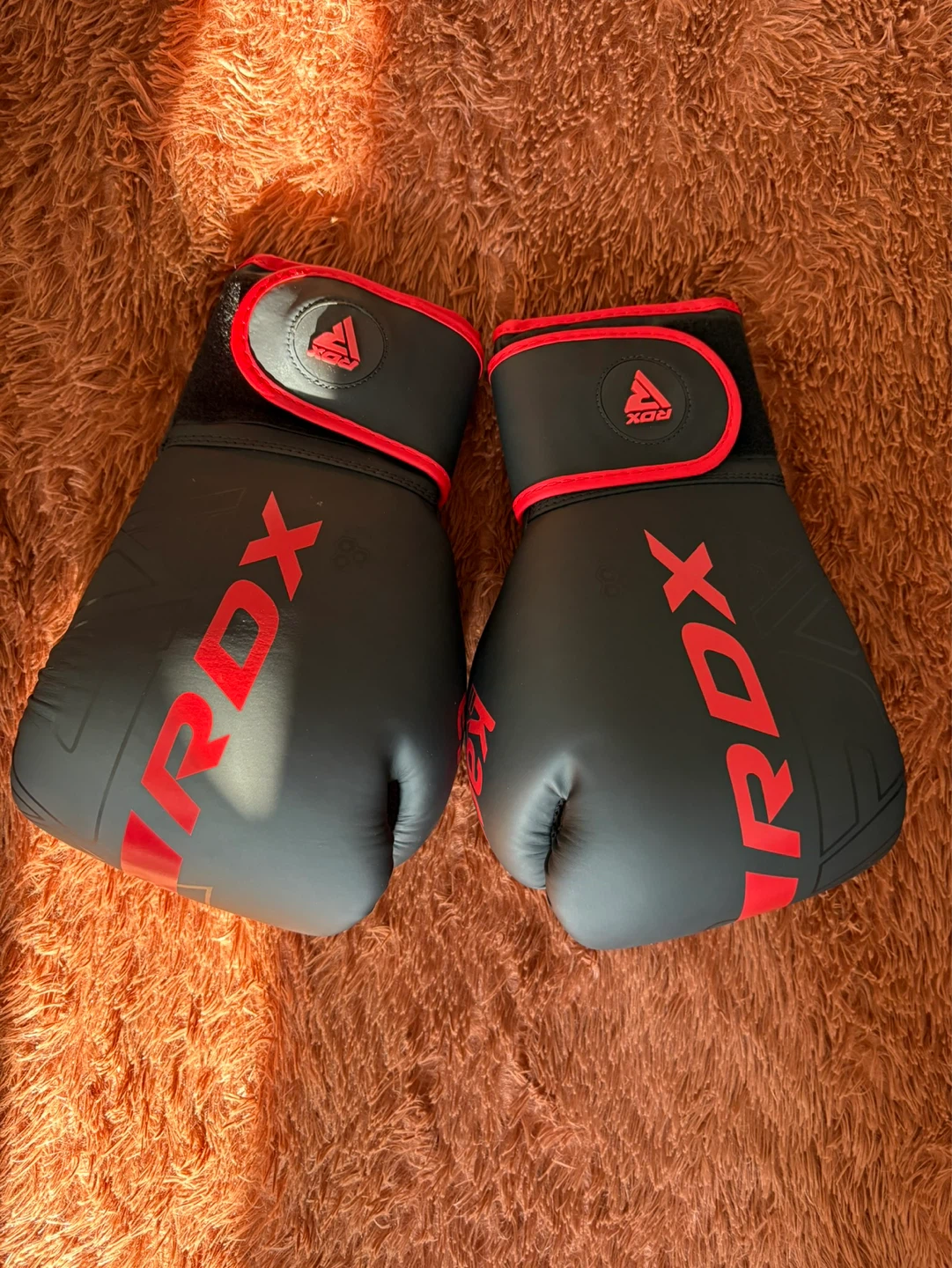 BRAND NEW RDX Boxing Gloves and Bag