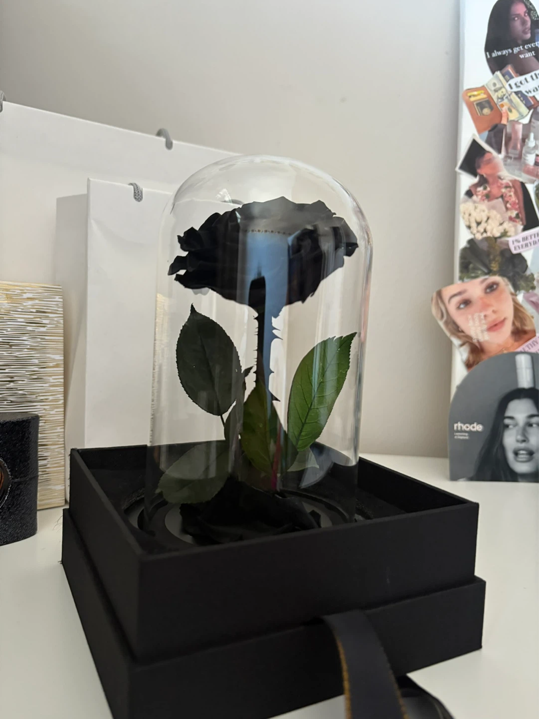Perfectione Roses Black Preserved Rose