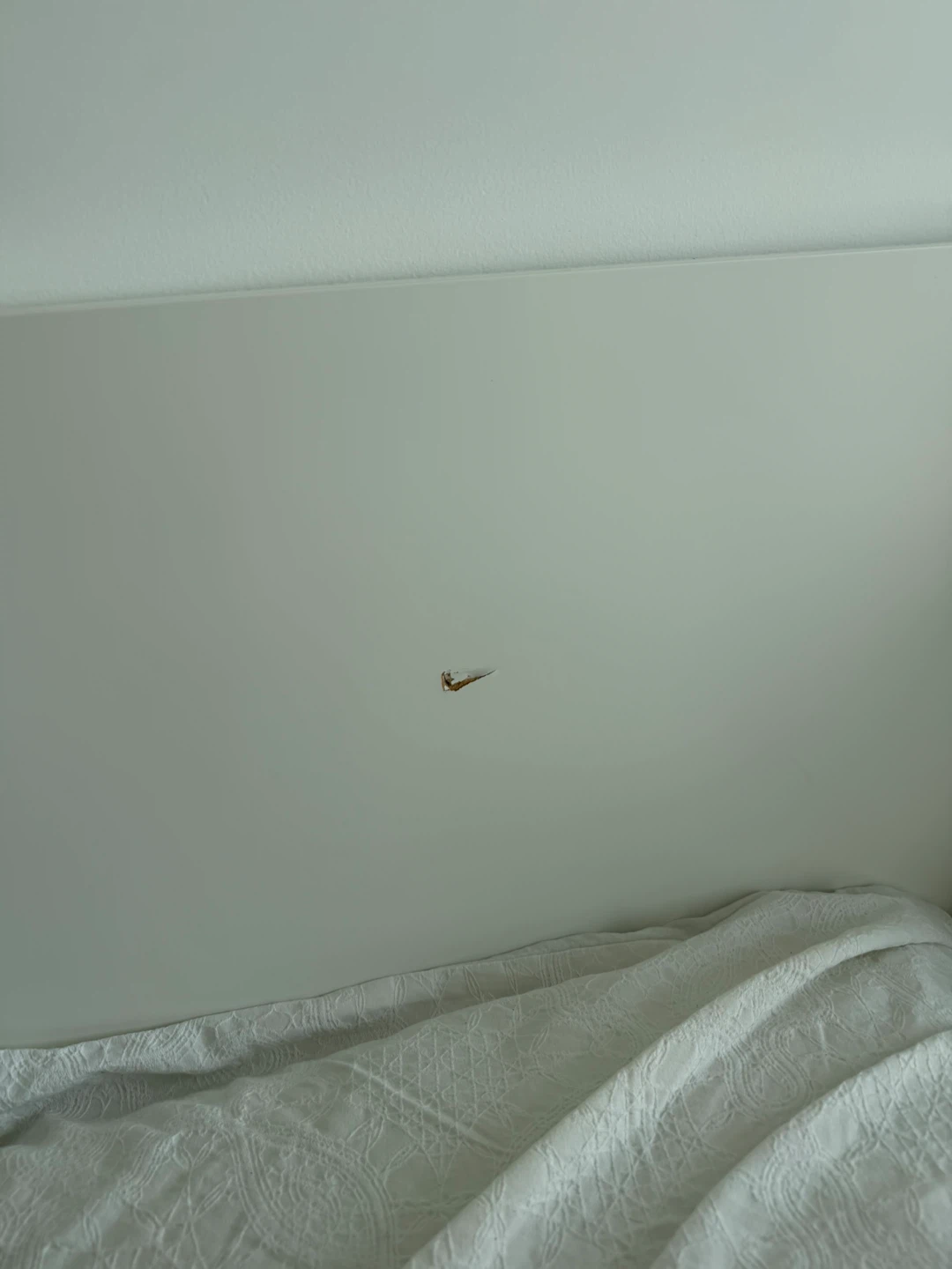 IKEA MALM White Bed Frame with 2 Drawers (Queen) - photo 4