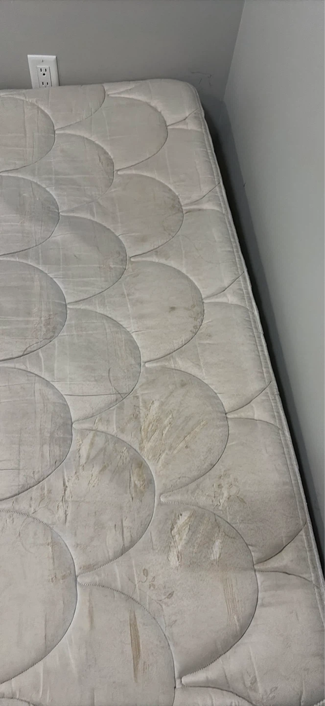 Mattress and spring box
