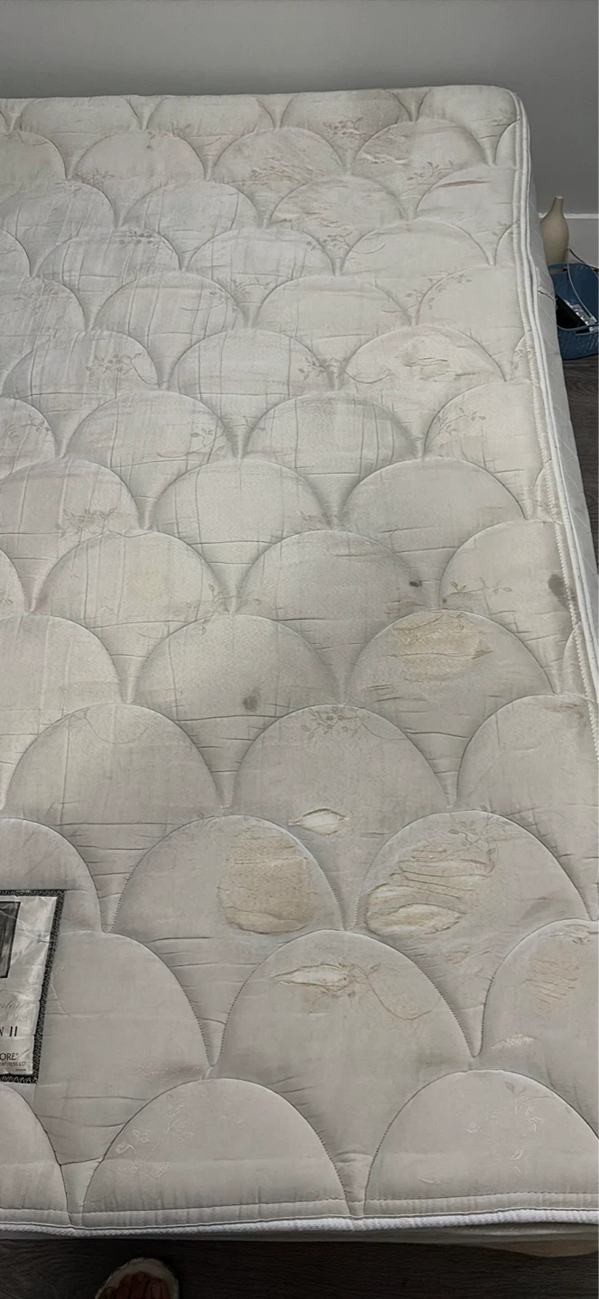 Mattress and spring box - photo 2