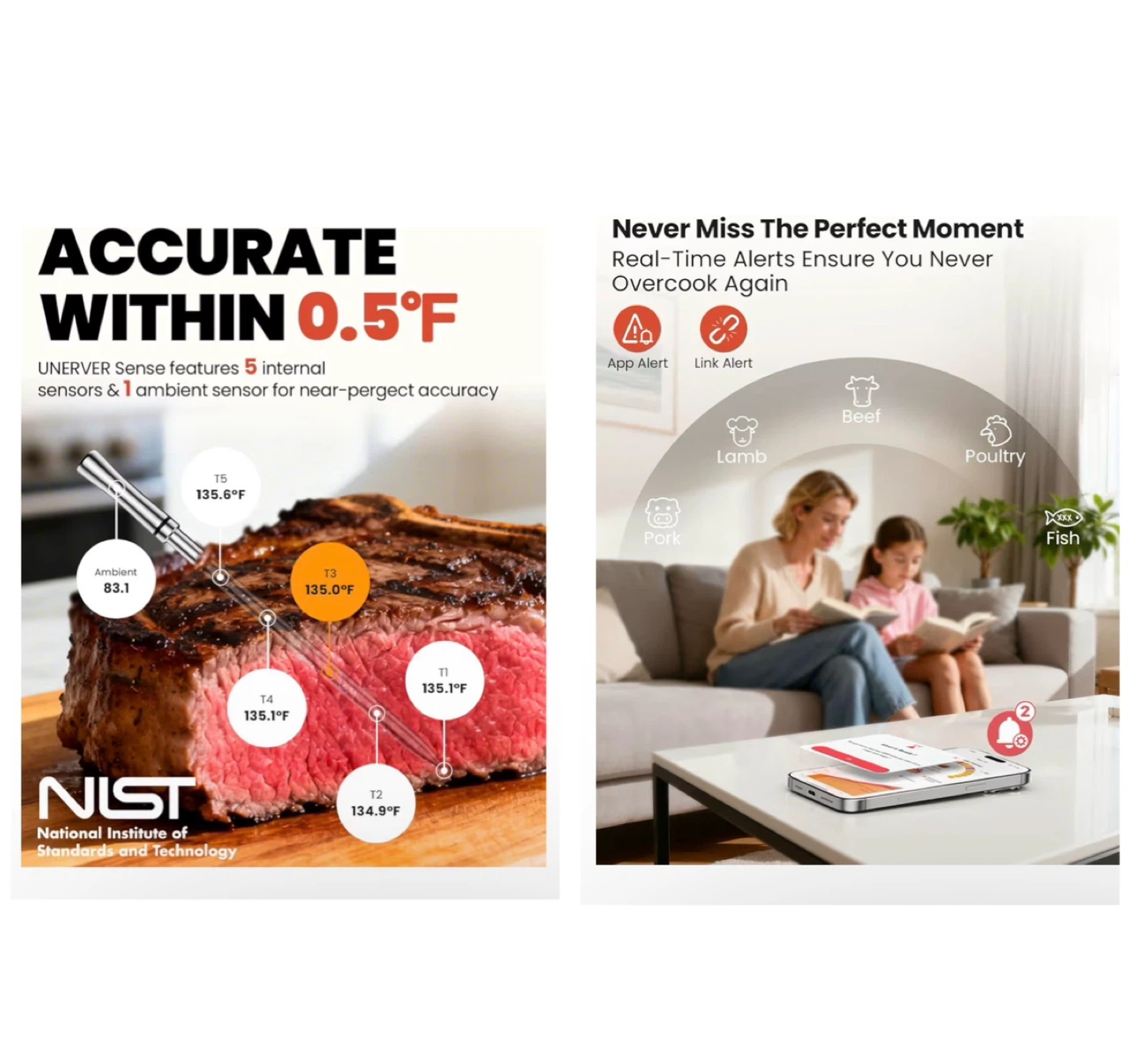 Brand new Wireless Meat Thermometer with WiFi - photo 4