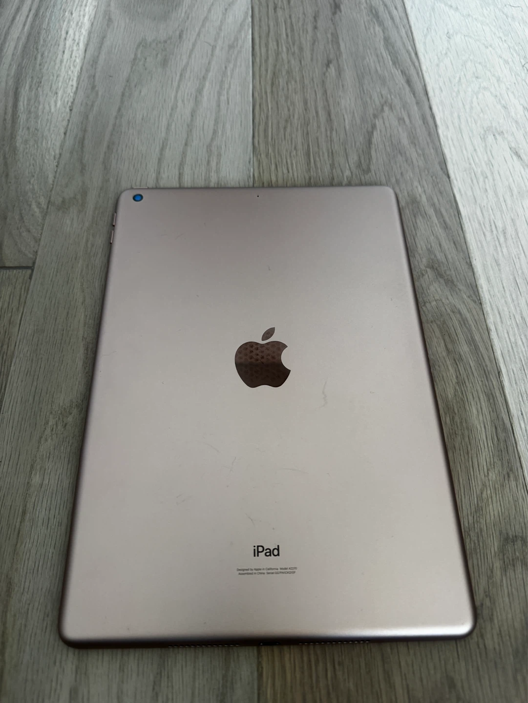 Apple iPad