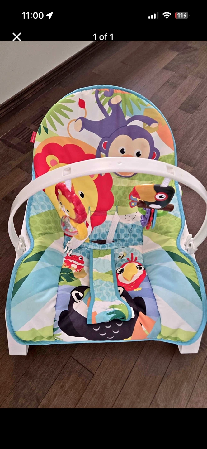 Fisher-Price Infant-to-Toddler Rocker