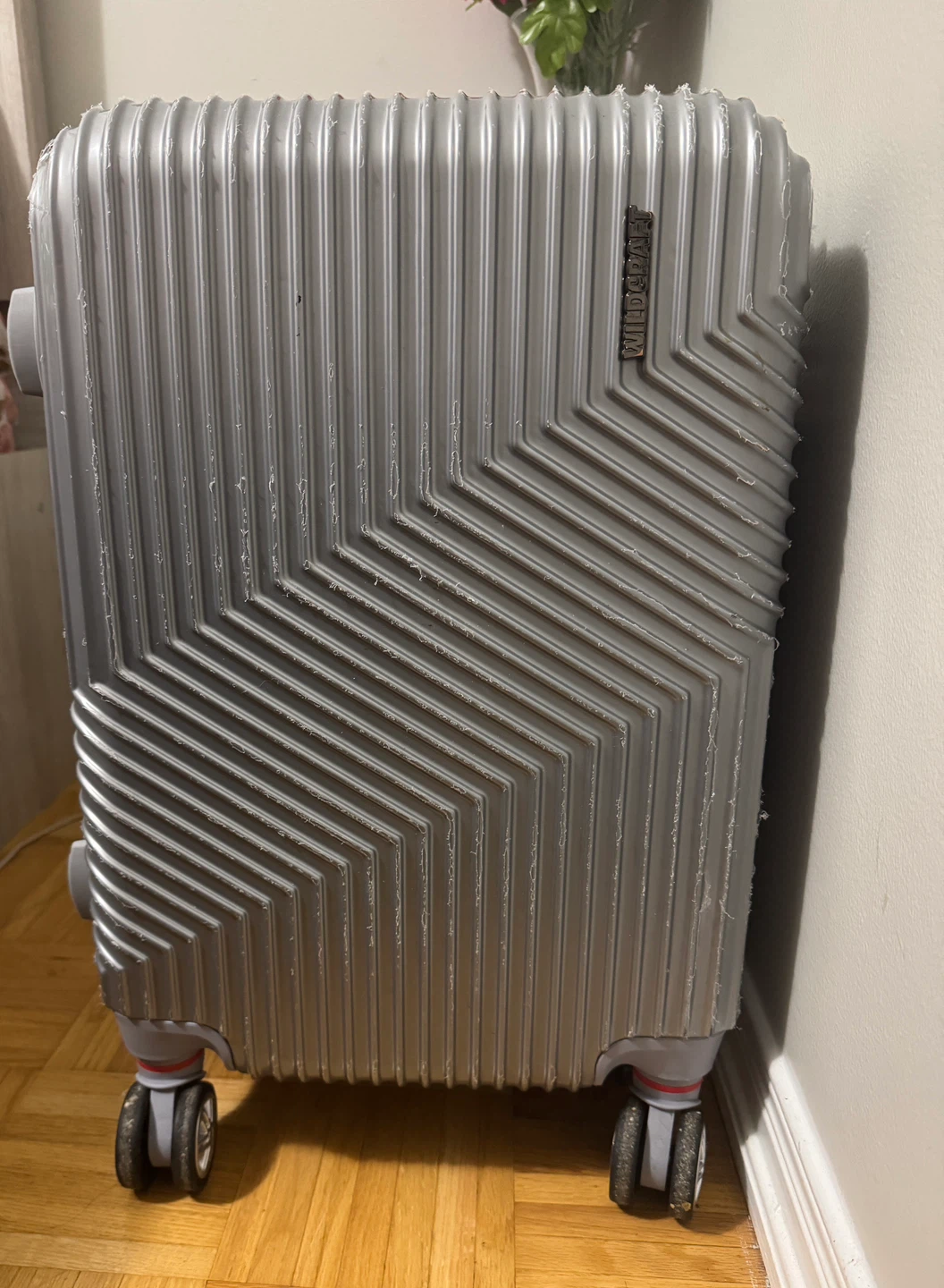 Silver Hardshell Hardside Carry-On Luggage Spinner