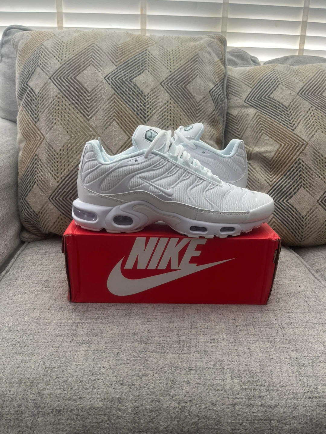 Nike Air Max Plus TN White Sneakers