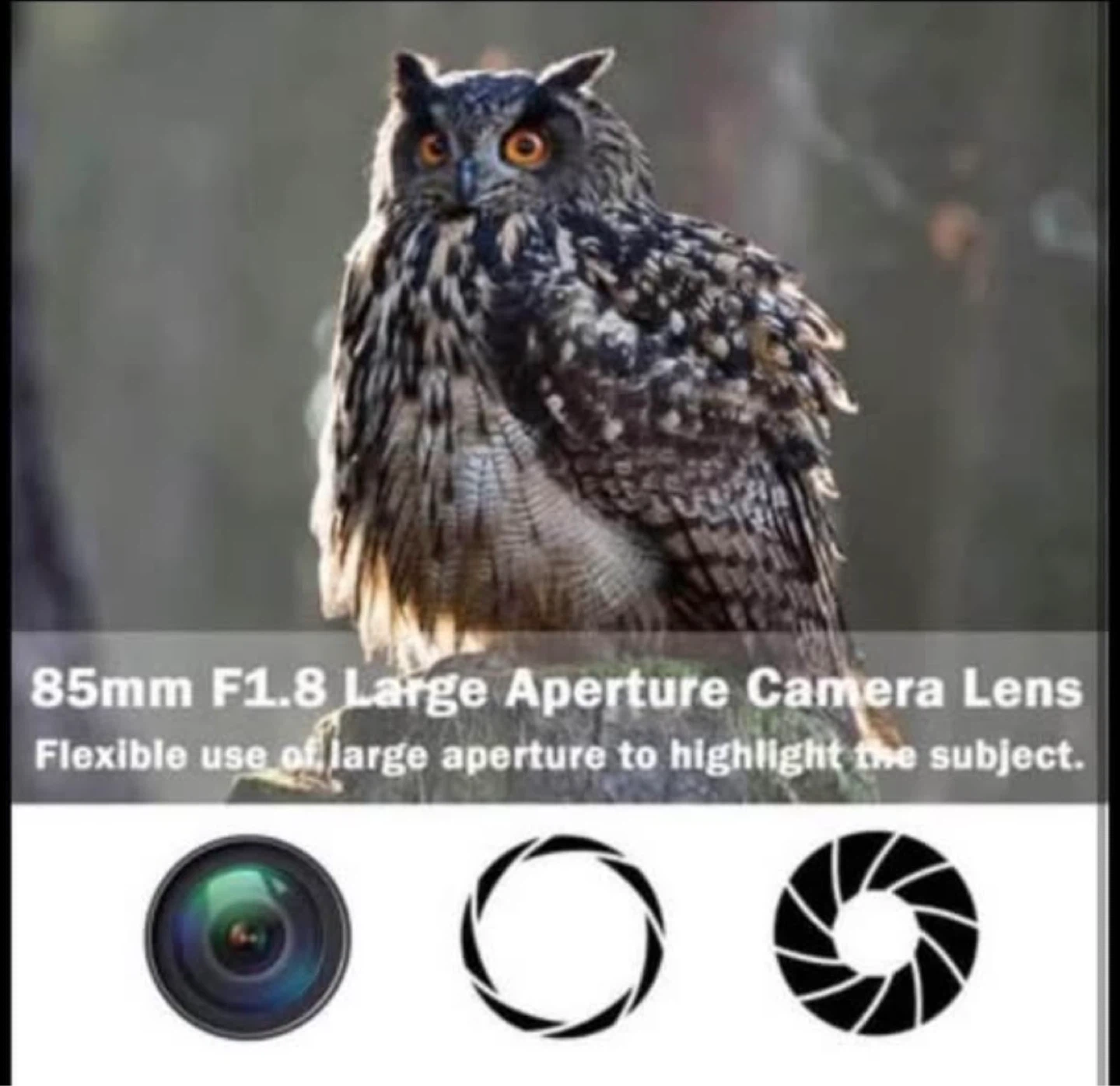 85mm f/1.8 Large Aperture Manual Portrait Lens - photo 5