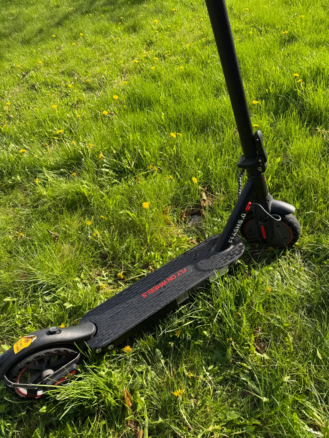 Fly on Wheels "Flashes 5.0" Electric Scooter
