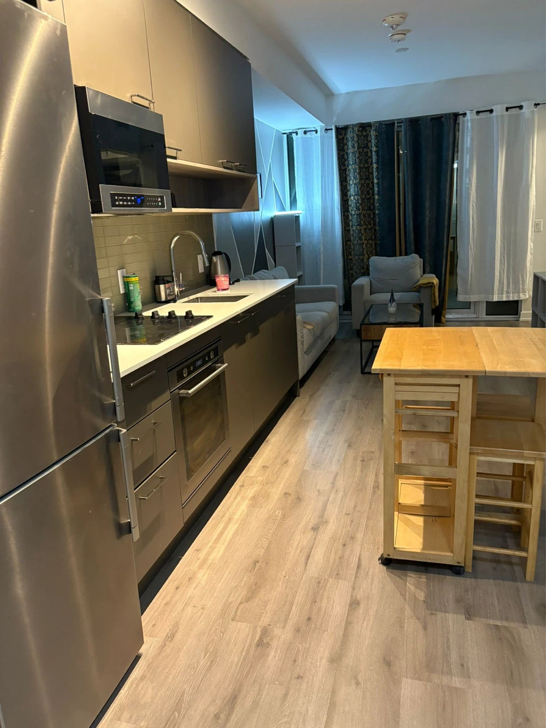 Furnished Apartment - photo 4