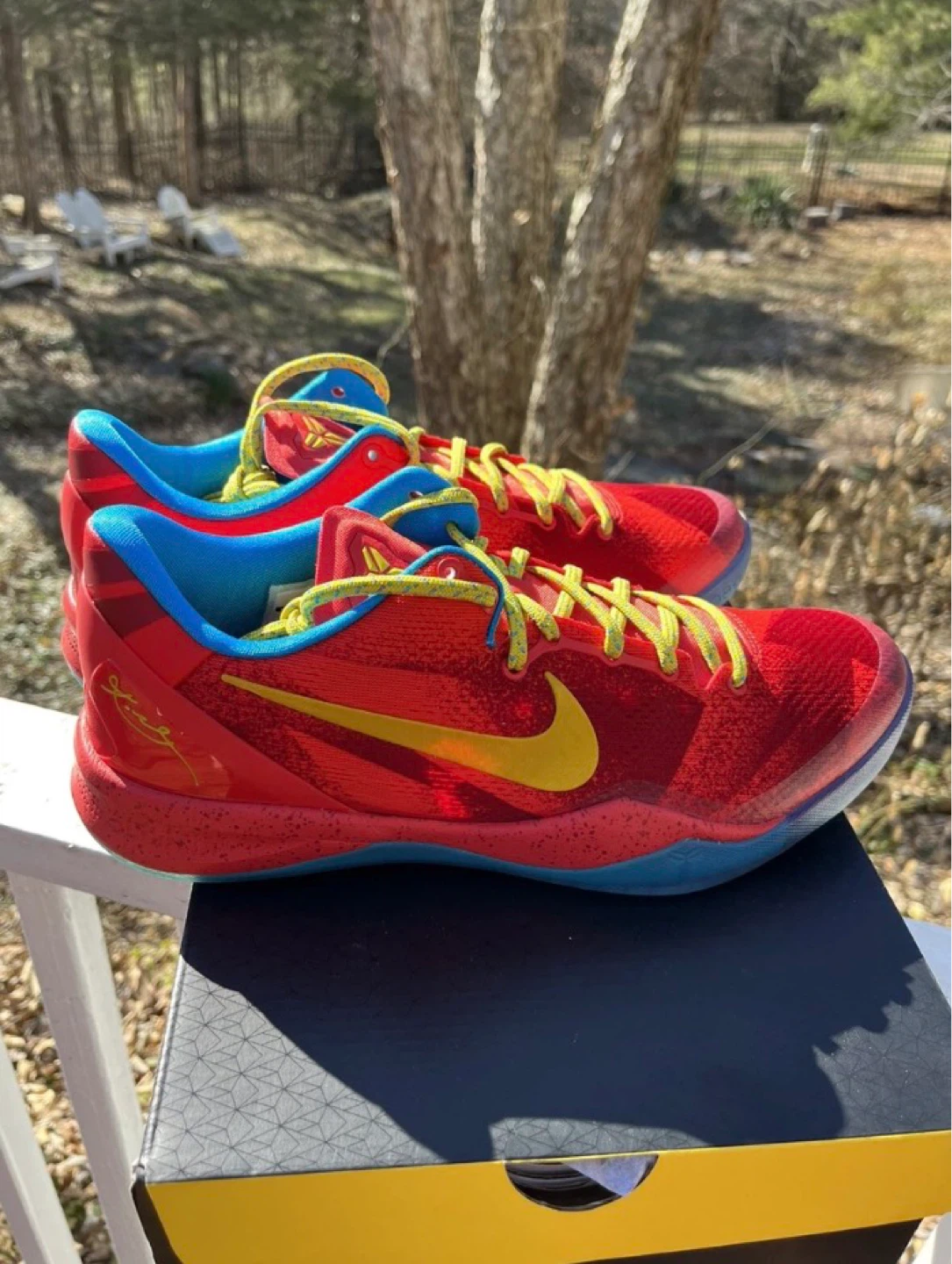 Kobe 8 Protro “Year of the Horse” - Size 10