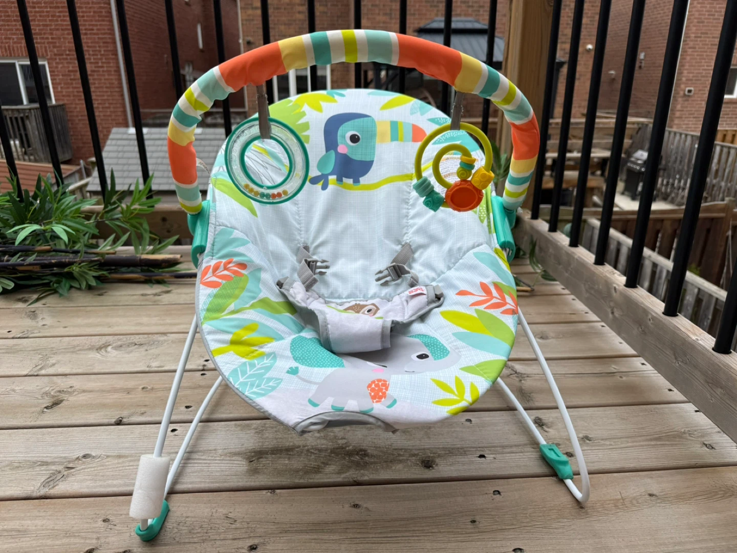 Fisher-Price Baby Bouncer Seat