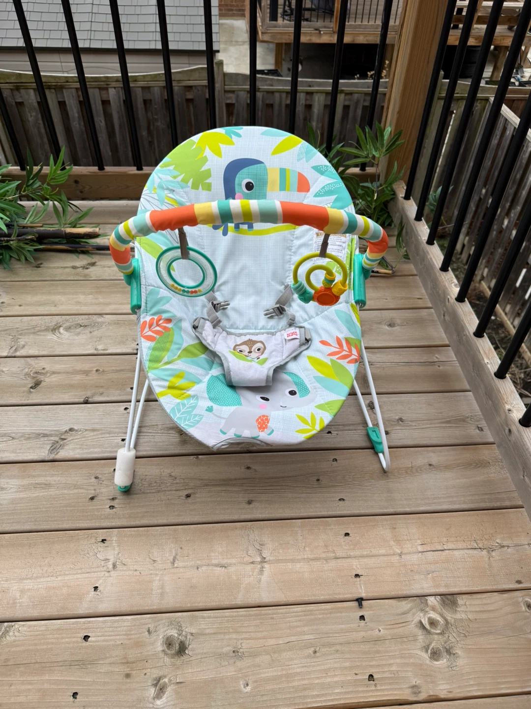 Fisher-Price Baby Bouncer Seat - photo 2