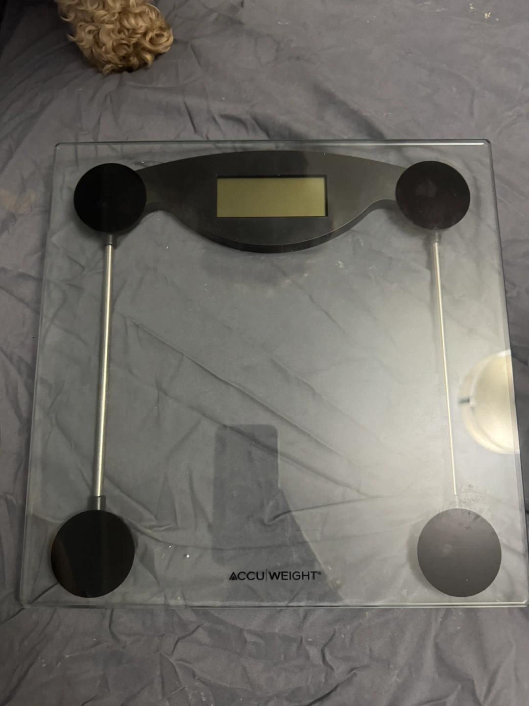 AccuWEIGHT Digital Scale
