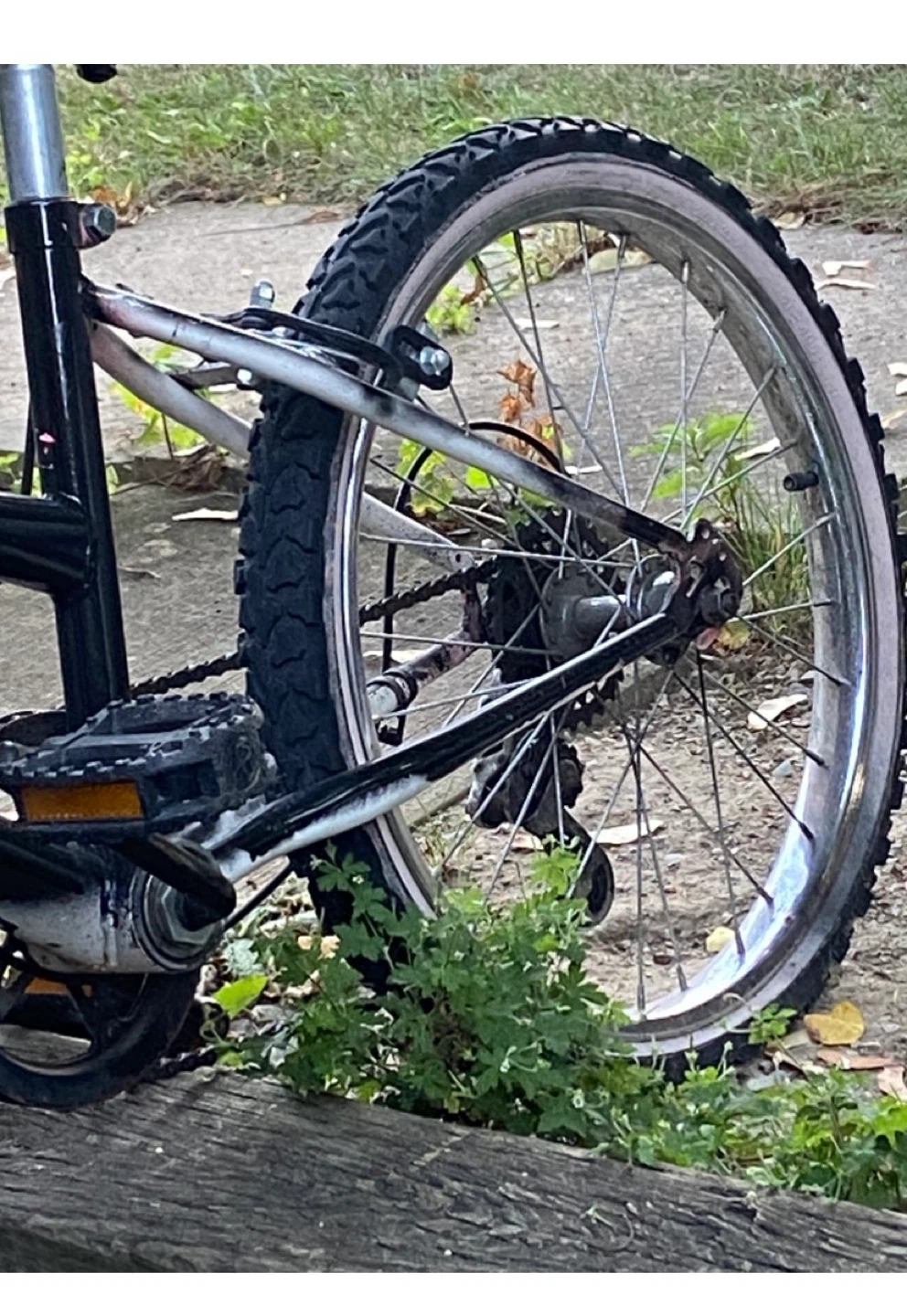 Black Bicycle size 20 - photo 2