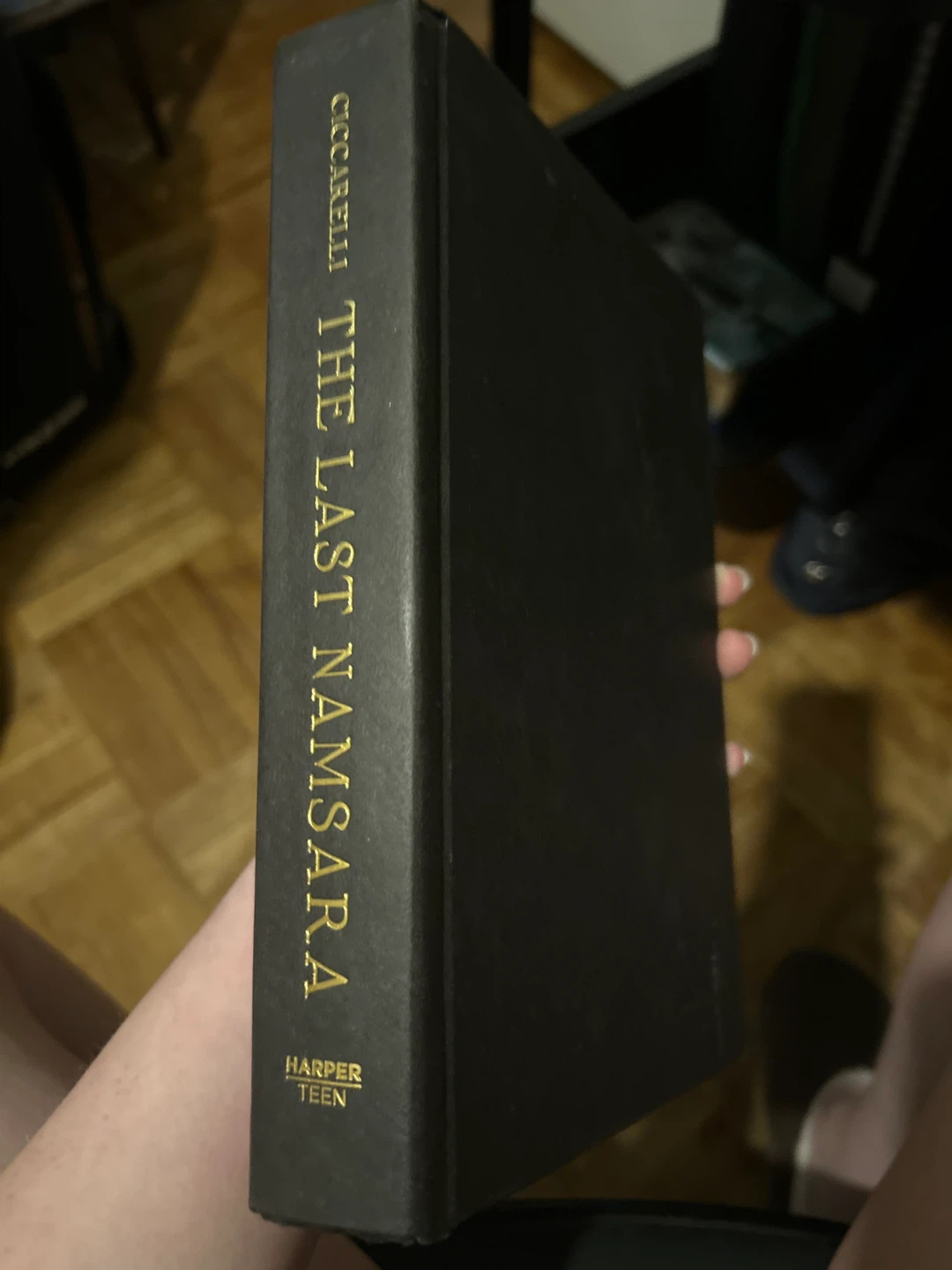 The Last Namsara by Ciccarelli