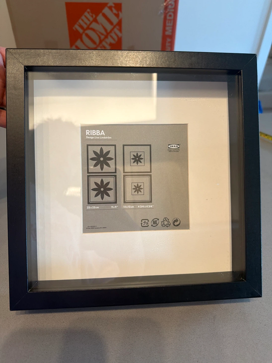 IKEA RIBBA Black Picture Frame