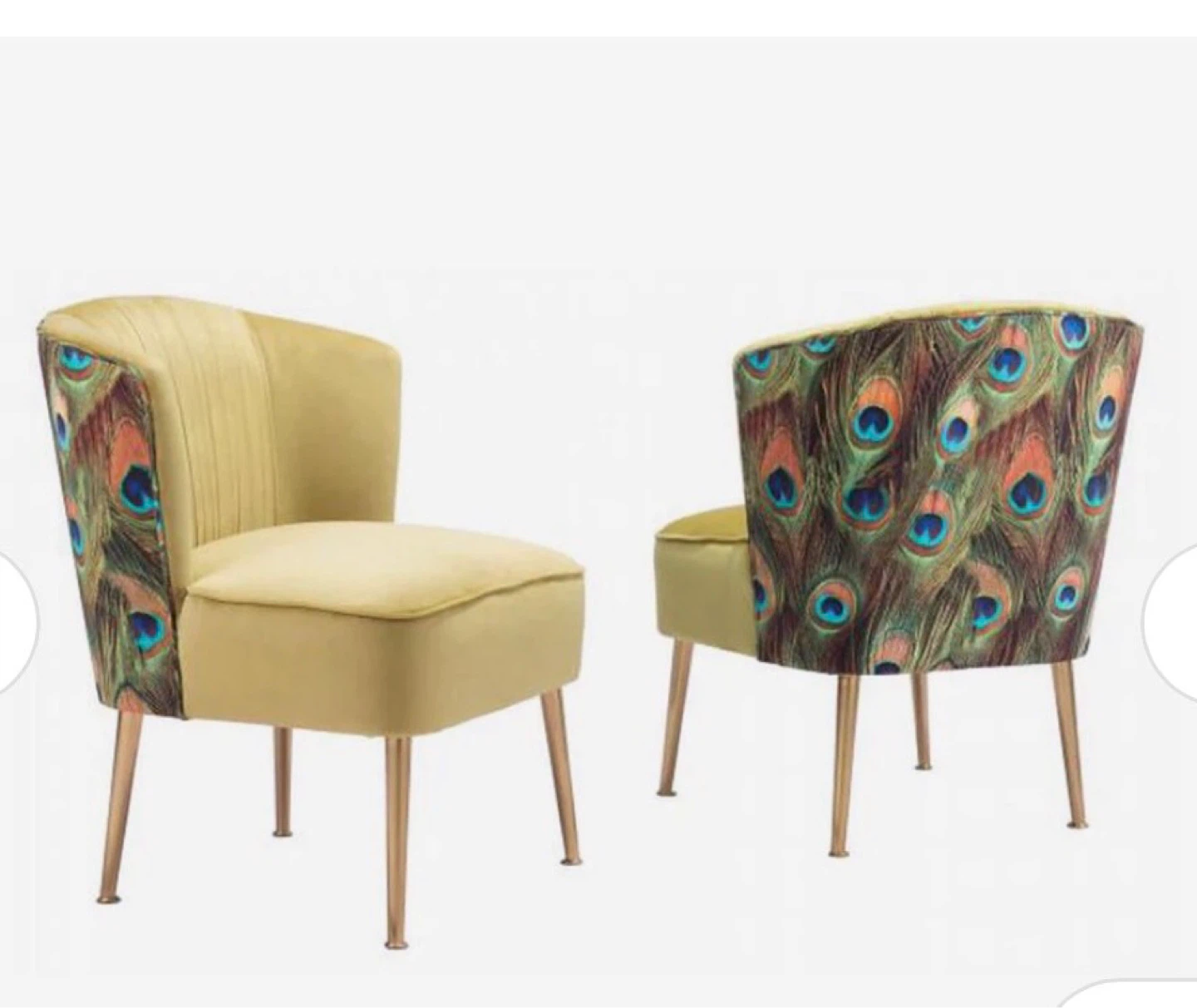 Set of Zuo Tabitha Accent Chair Peacock Print