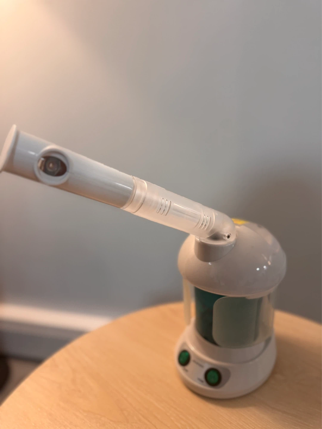 Facial Steamer