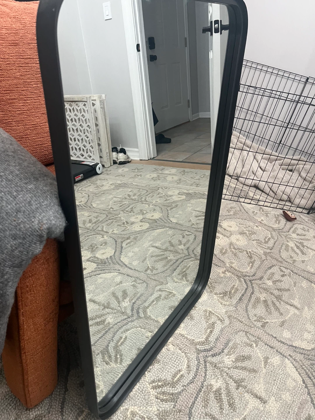 Tall Black Metal Frame Mirror