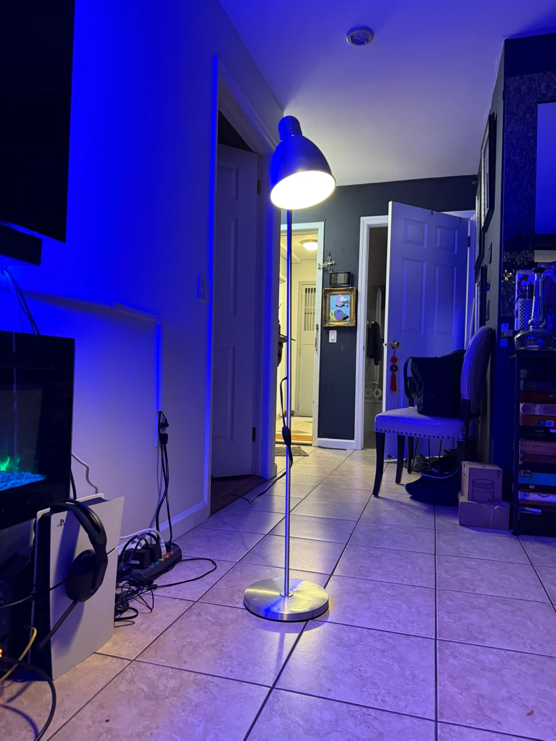 Metal Floor Lamp with Adjustable Gooseneck - photo 4