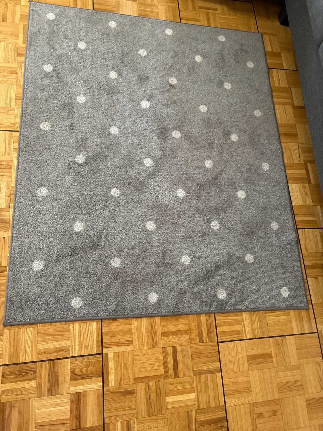 Grey Polka Dot Rug
