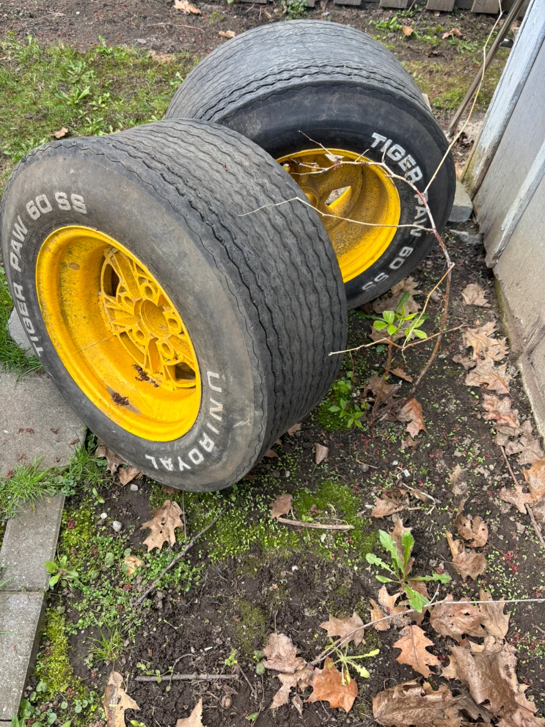 Tiger Paw 60 SS Tires on Yellow Rims