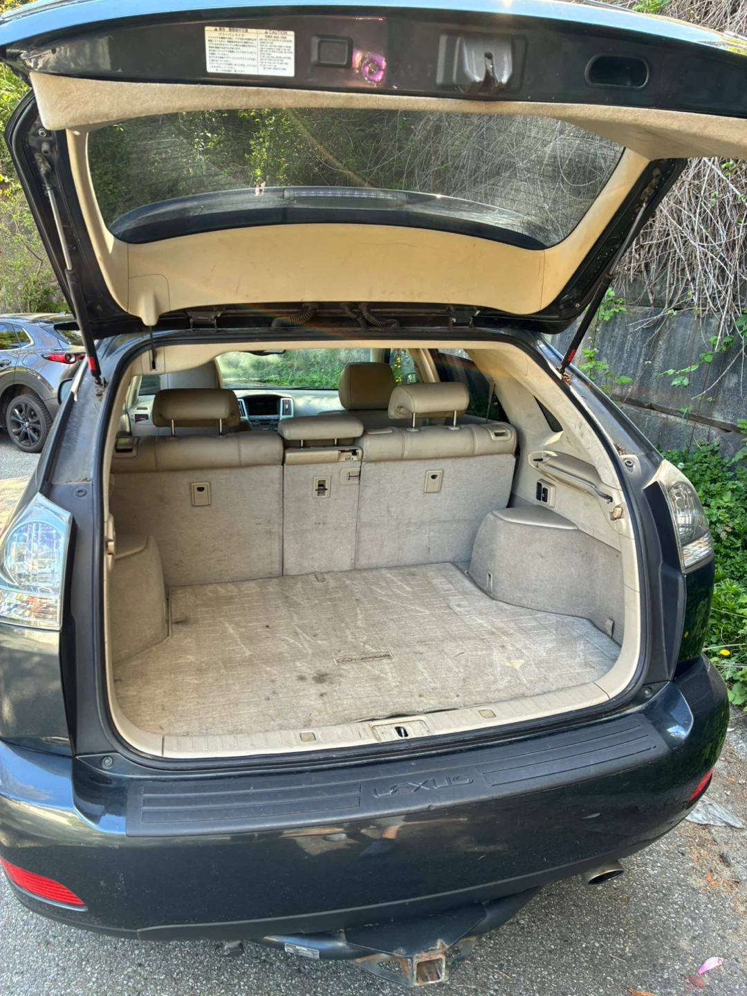 Clean title Dark Grey Lexus RX 330 SUV - photo 5