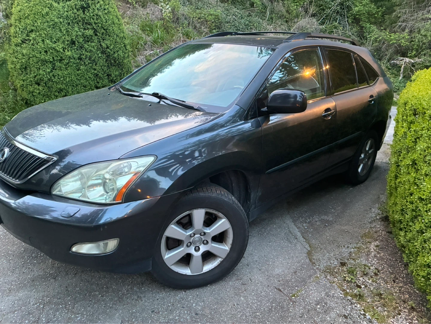 Clean title Dark Grey Lexus RX 330 SUV - photo 2