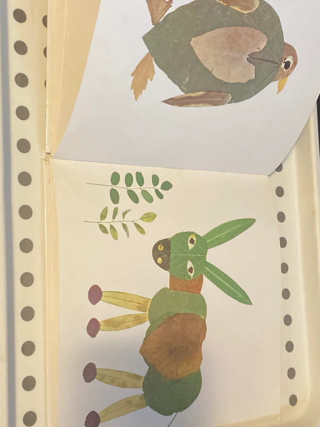 Des feuilles très, très chouettes book/novel for kids - photo 2