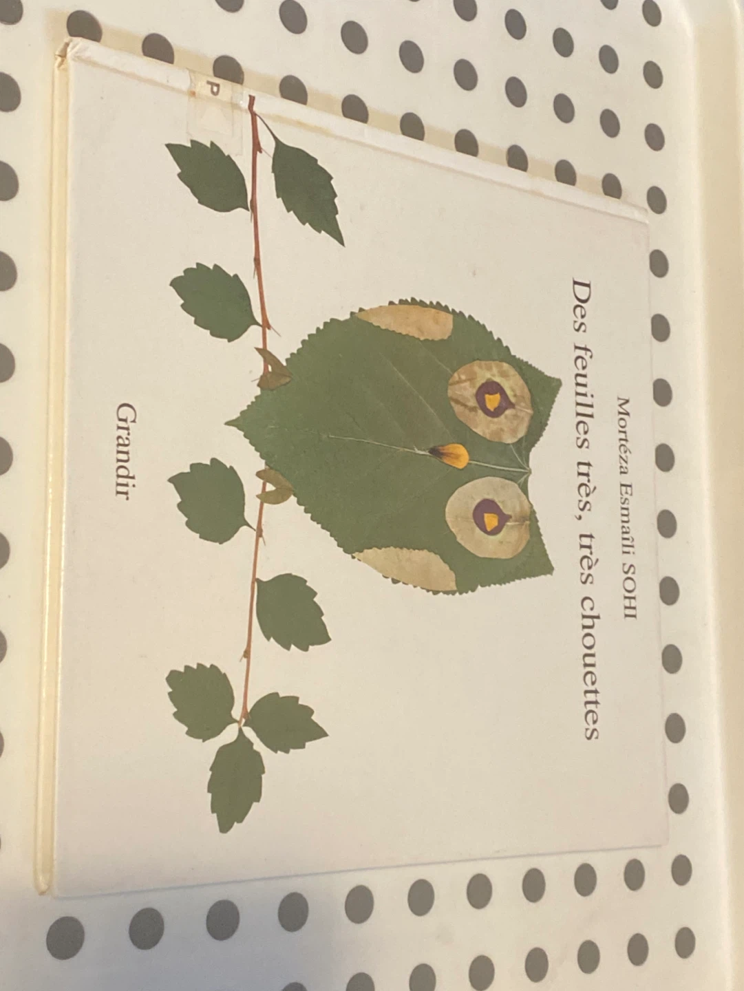 Des feuilles très, très chouettes book/novel for kids